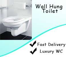 Wall Hung Toilet